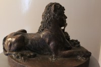 /album/fotogalerij-sfynx/img-9022-jpg/