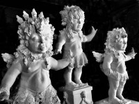 /album/the-gorgon-girls/652832055-26044255455259293-8088829655361812288-n-jpg/